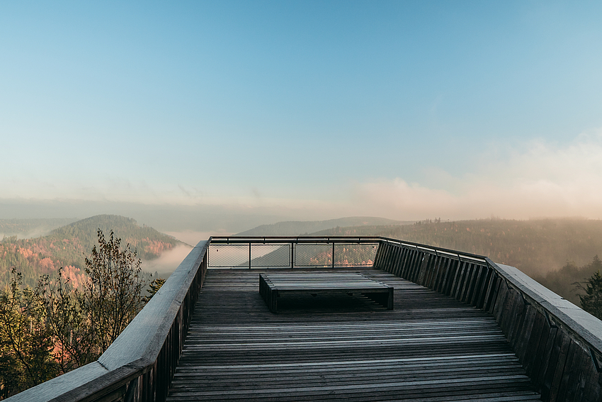 Nationalparkregion Schwarzwald