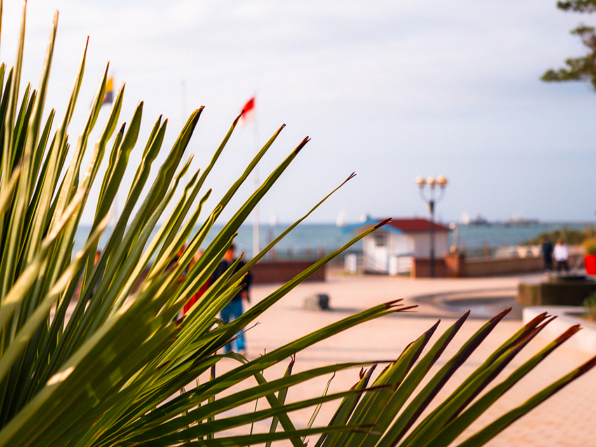 Strandkulisse Surf Rescue Club